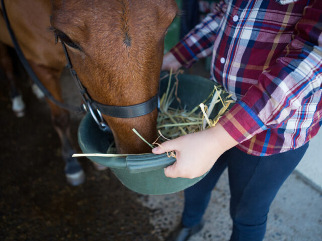 Warum pauschale Fütterungspläne nicht funktionieren!