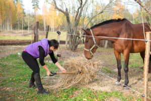 Heu satt oder streng limitiert?
