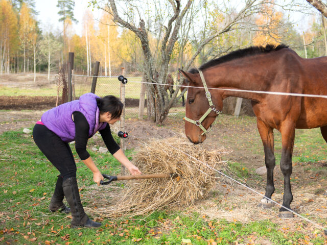 Heu satt oder streng limitiert?